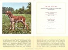 1956 MILANO Laboratori