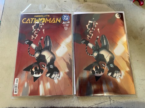 Absolute catwoman main - catwoman,