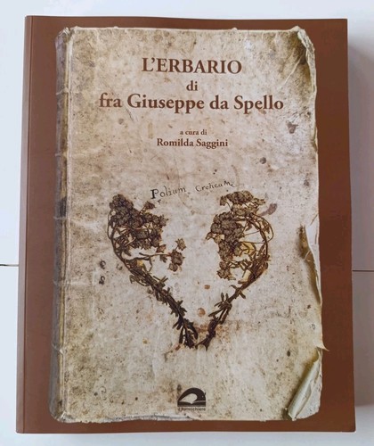 Romilda saggini erbario di - l',