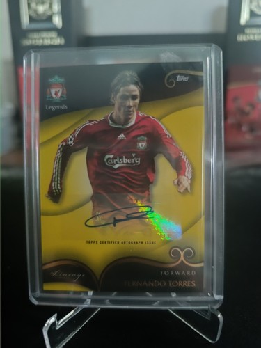 Fernando torres wrong auto - fernando,