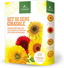 Semi Girasoli (4 Varietà) -