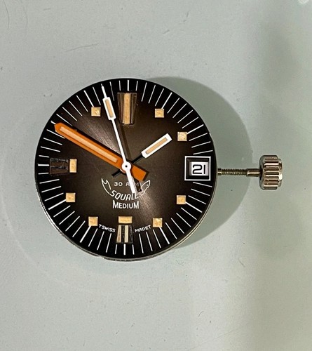 Movimento squale medium - squale,