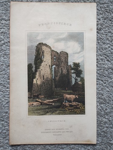 Ingestre stampa antica - -,