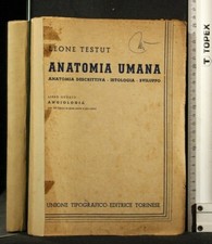 ANATOMIA UMANA LIBRO IV. Leone