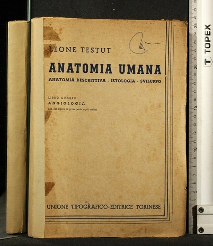 Anatomia umana libro - anatomia, iv.
