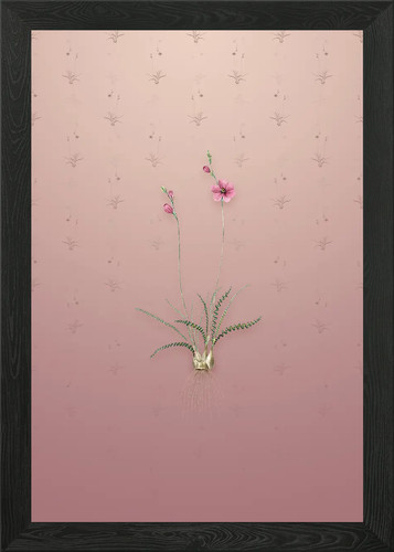 Quadro stampa tela poster - su,