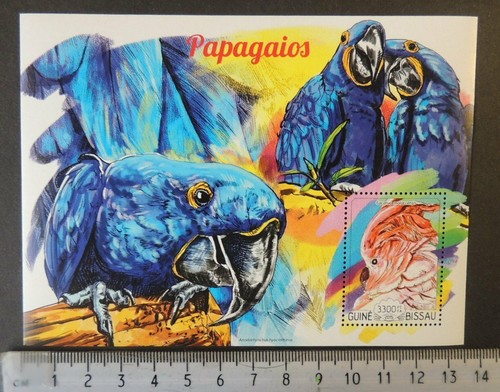 Guinea bissau 2015 pappagalli - guinea-bissau,