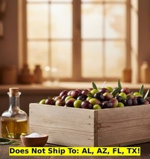 Frantoio Olive Tree 18"H