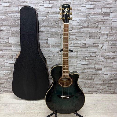 Chitarra elettrica acustica