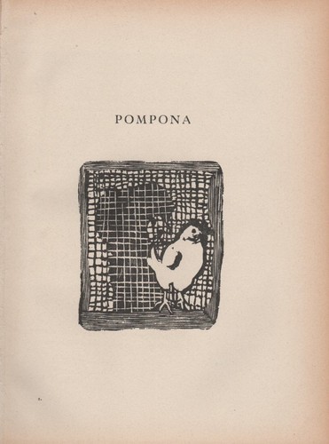 Mino maccari pompona - -,
