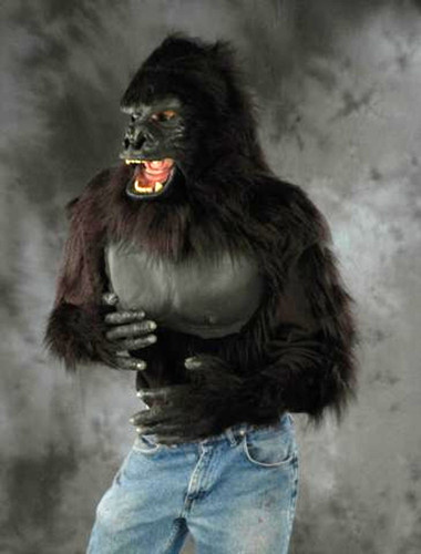 Camicia primate ape monkey - camicia,