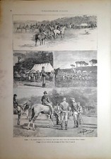 Stampa antica ROMA CACCIA al CERVO a VILLA DORIA PAMPHILI 1892 Antique print