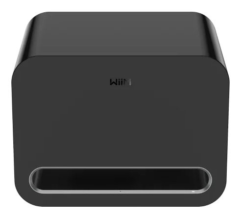Wiim cassa subwoofer - wiim,
