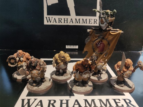 Warhammer fantasy vecchio - warhammer,