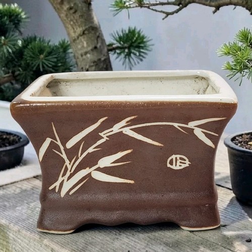 Fioriera bulbo bonsai - , vaso