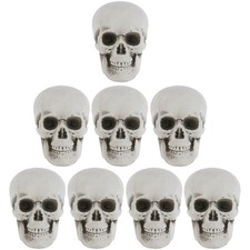  8 pezzi piccoli mini teschi con testa di teschio di Halloween per oggetti di