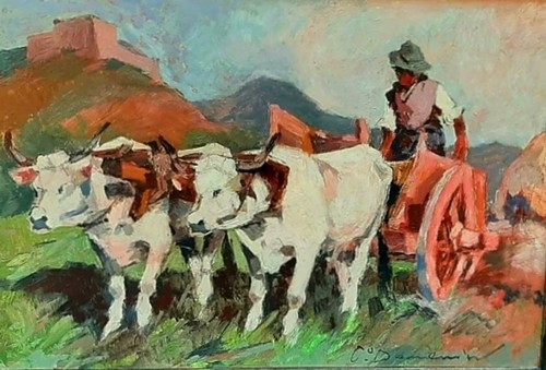 Carlo domenici 50x35 - ,
