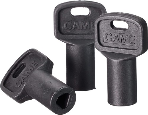 Came 119riy077 chiave - came, di