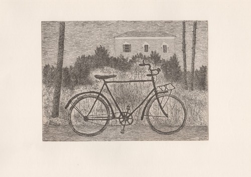 Giuseppe viviani bicicletta - giuseppe,