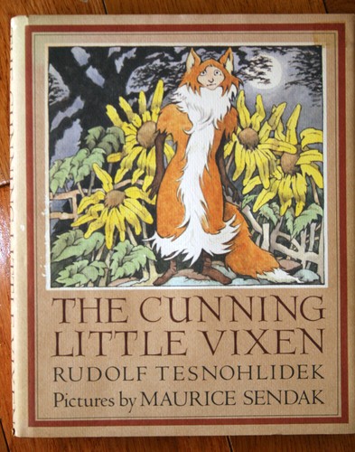 The cunning little vixen - little,