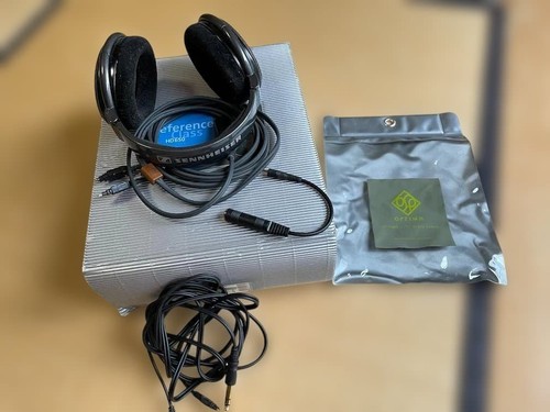 Sennheiser hd650 cuffie - hd650, open