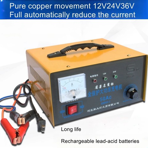 Caricabatteria auto 12v24v - auto,