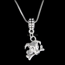 Jack Russell Cane Terrier Osso