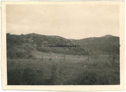 Orig foto tomba r - foto,