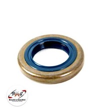 Paraolio lato volano originale