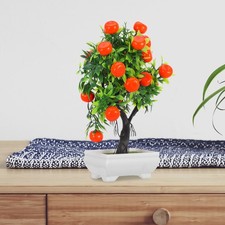  Albero Di Kumquat Simulato