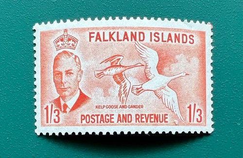 Isole falkland 1952 mnh - isole,