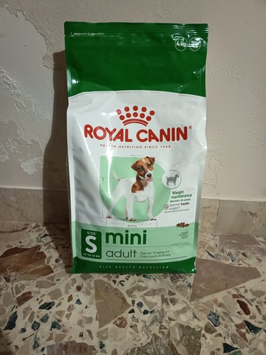 Crocchette royal canin mini - canin,