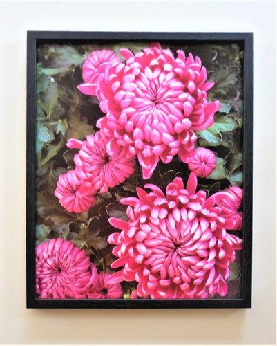 Quadro fotografia fiori