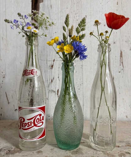 Vintage bottiglie da - vintage,