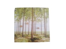 Lavagna Magnetica Da Parete " Alberi" con 3 magneti a forma di Tronco. 