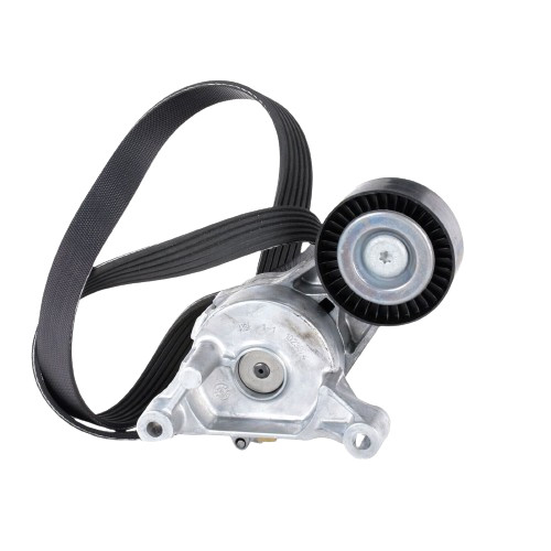 Kit cinghia tendicinghia - kit,