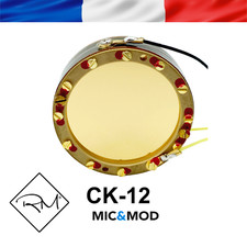 Replica microphone capsule - microphone,