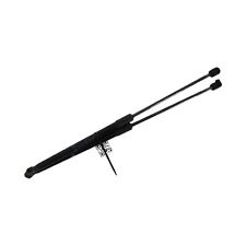 Coppia Pistoni Portellone