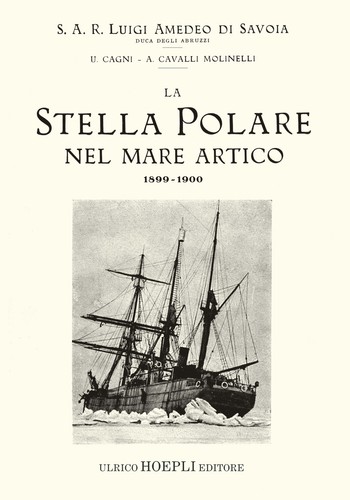 Stella polare nel mare - stella,