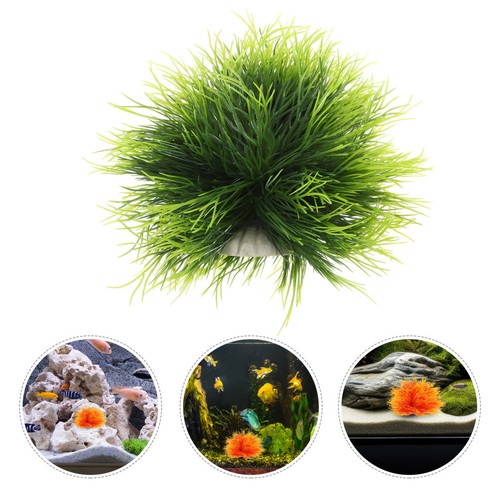 Decorazione acquario piante - ,