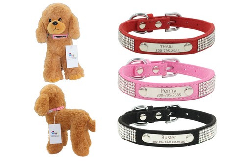 Collare cane personalizzato