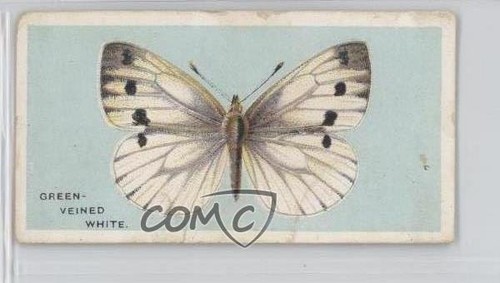 1927 bat farfalle britanniche - 1927,