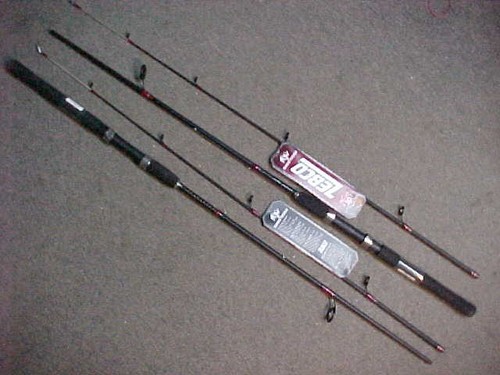 Nuove canne spinning - 2,