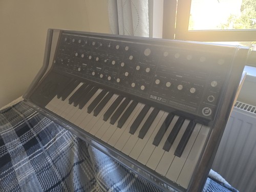 Moog subsequent tribute - moog, 37