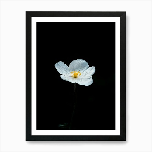 Quadro stampa tela poster - stampa, su