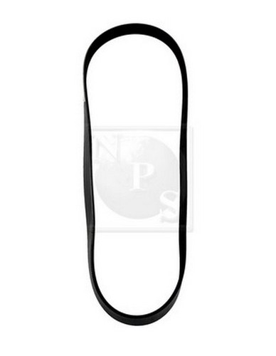 Cinghia poly per lancia - cinghia, poly-v