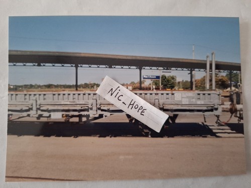 Fotografia stazione pisa - di,