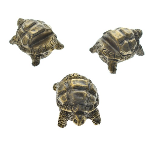 Pezzi set piante - pezzi/set,
