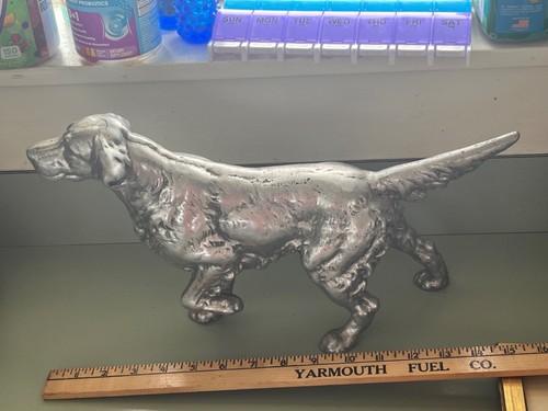Setter inglese golden - inglese,