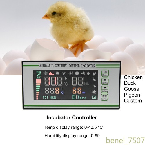 Regolatore incubatrice uova